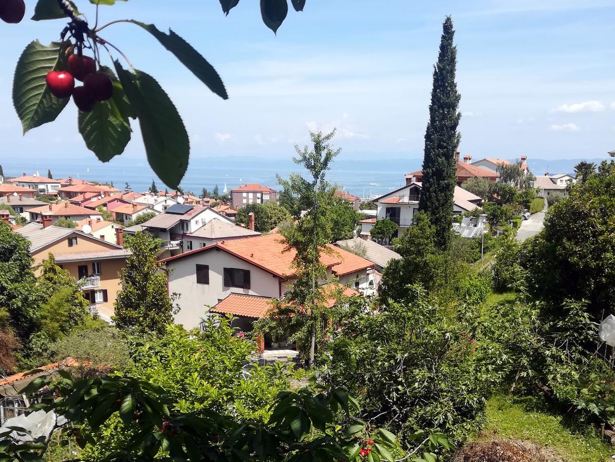 Seaside Parenzana Comfort With Free Parking Izola Exterior photo